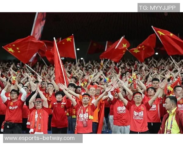 中国足球队新星加盟 震撼国足阵容 引发球迷热议与期待